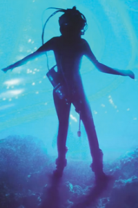 Abyss, The